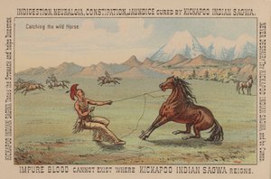 Nativo americano capturando un caballo salvaje de American School